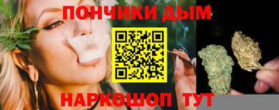 индика Будённовск