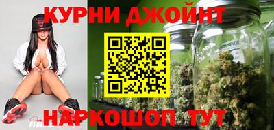 индика Будённовск