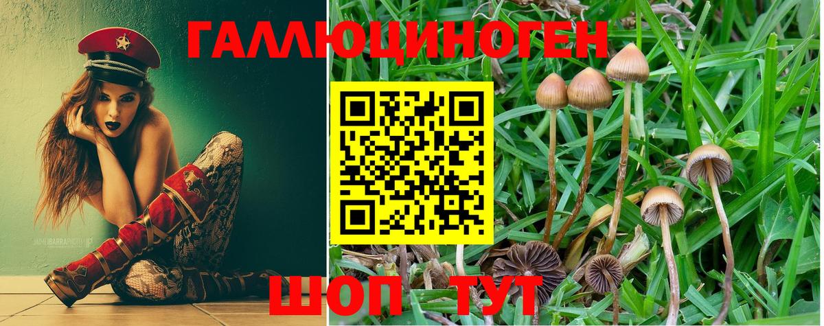 Псилоцибиновые грибы мухоморы Надым